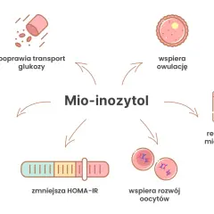 Mio-inozytol: co to jest? Poprawia transport glukozy, lipidogram, zmniejsza HOMA-IR, wspiera owulację, rozwój oocytów i reguluje cykl.