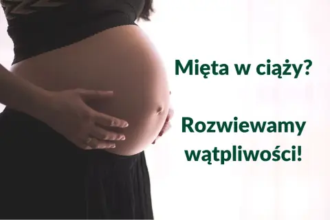 Brzuch kobiety w ciąży, z dłońmi delikatnie go obejmującymi. Obok tekst: "Mięta w ciąży? Rozwiewamy wątpliwości!".