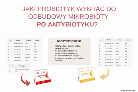 Wybór probiotyku dla dzieci po antybiotyku. Na zdjęciu opakowania Sanprobi Super Formula i Sanprobi Barrier.