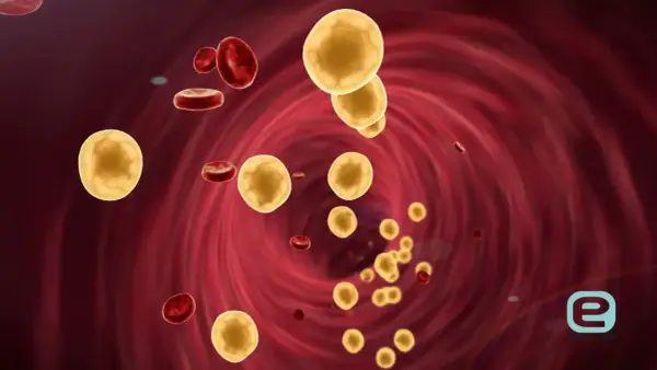 Żółte kuleczki cholesterolu LDL unoszą się w krwiobiegu, otoczone czerwonymi krwinkami. Podwyższony poziom tego tłuszczu może być groźny.